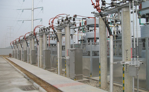 611b70463087a.jpg 01.jpg